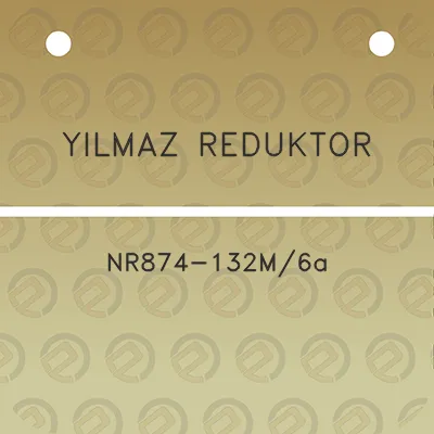 yilmaz-reduktor-nr874-132m6a