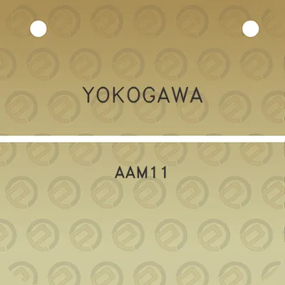 yokogawa-aam11