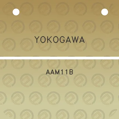 yokogawa-aam11b