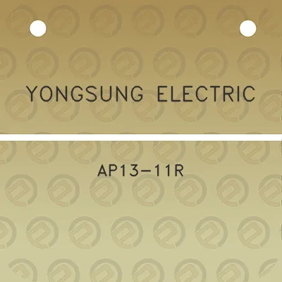 yongsung-electric-ap13-11r