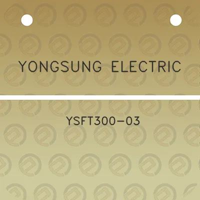 yongsung-electric-ysft300-03