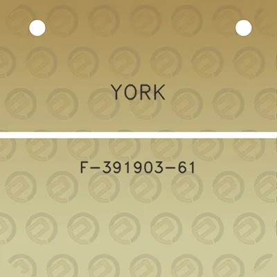 york-f-391903-61