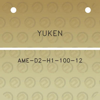 yuken-ame-d2-h1-100-12