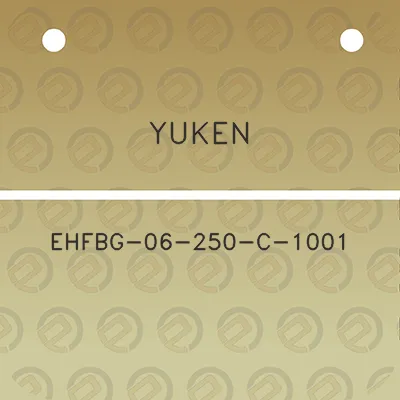 yuken-ehfbg-06-250-c-1001