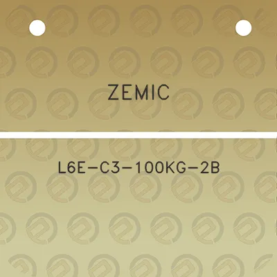 zemic-l6e-c3-100kg-2b