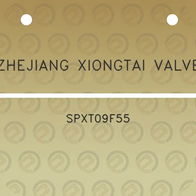 zhejiang-xiongtai-valve-spxt09f55