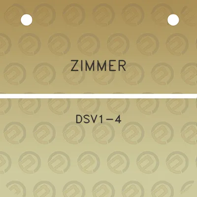 zimmer-dsv1-4